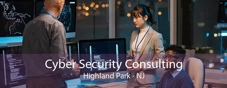 Cyber Security Consulting Highland Park - NJ