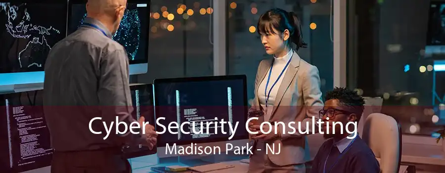 Cyber Security Consulting Madison Park - NJ