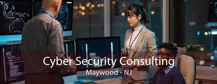 Cyber Security Consulting Maywood - NJ