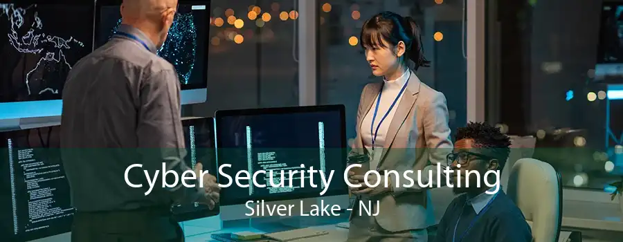 Cyber Security Consulting Silver Lake - NJ