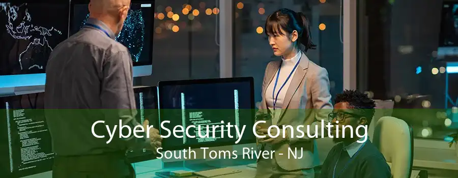 Cyber Security Consulting South Toms River - NJ