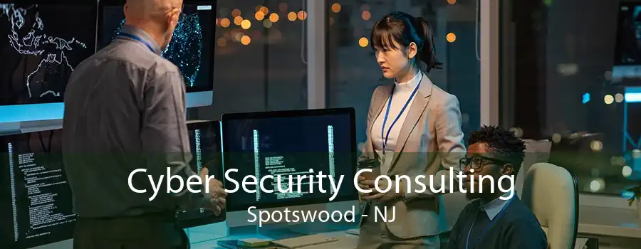 Cyber Security Consulting Spotswood - NJ