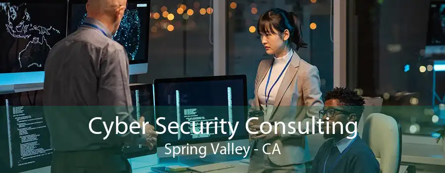 Cyber Security Consulting Spring Valley - CA