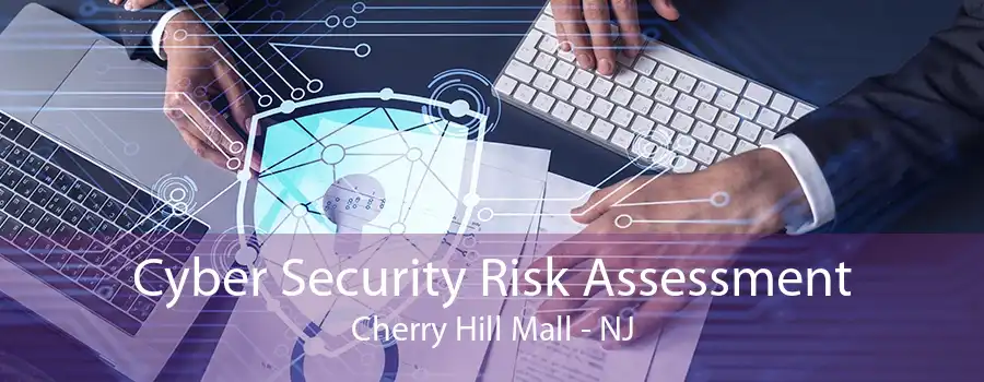 Cyber Security Risk Assessment Cherry Hill Mall - NJ