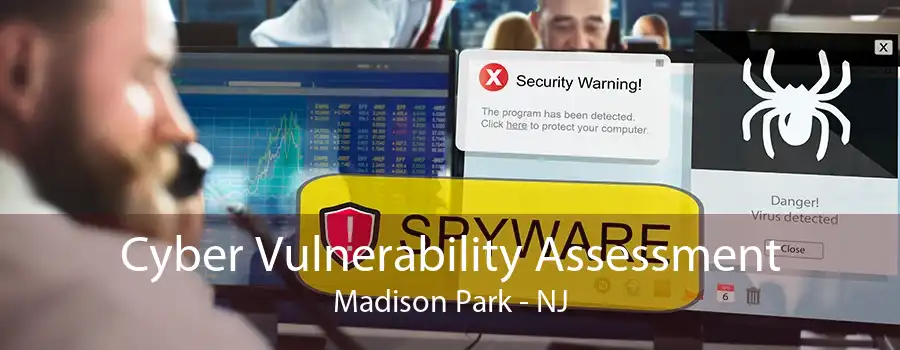 Cyber Vulnerability Assessment Madison Park - NJ