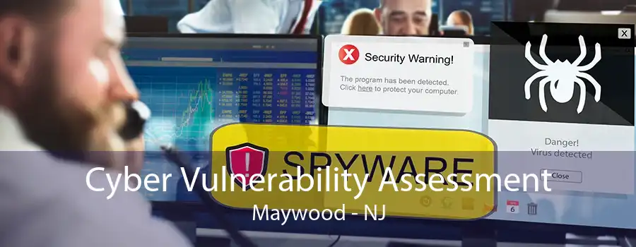 Cyber Vulnerability Assessment Maywood - NJ