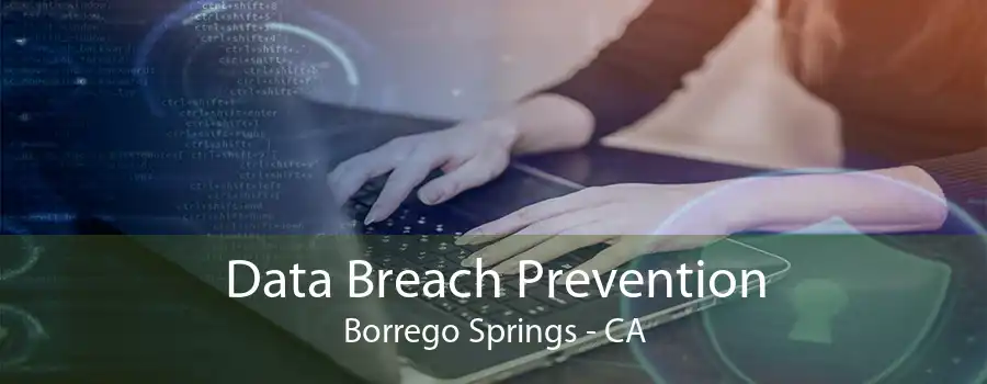 Data Breach Prevention Borrego Springs - CA