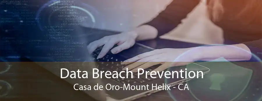 Data Breach Prevention Casa de Oro-Mount Helix - CA