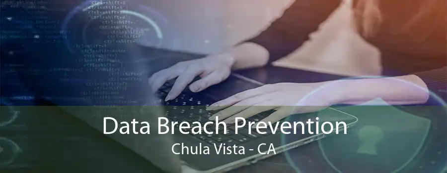 Data Breach Prevention Chula Vista - CA