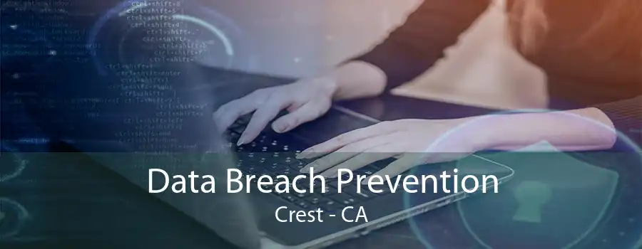 Data Breach Prevention Crest - CA