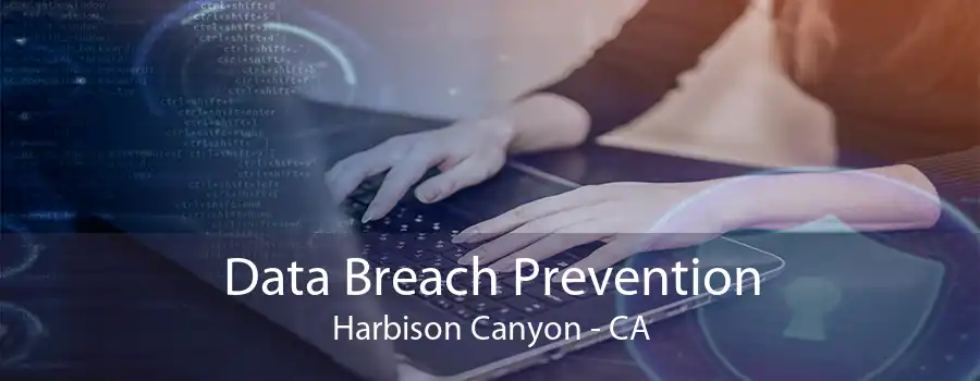 Data Breach Prevention Harbison Canyon - CA