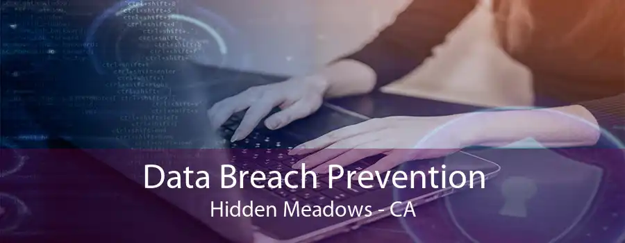 Data Breach Prevention Hidden Meadows - CA