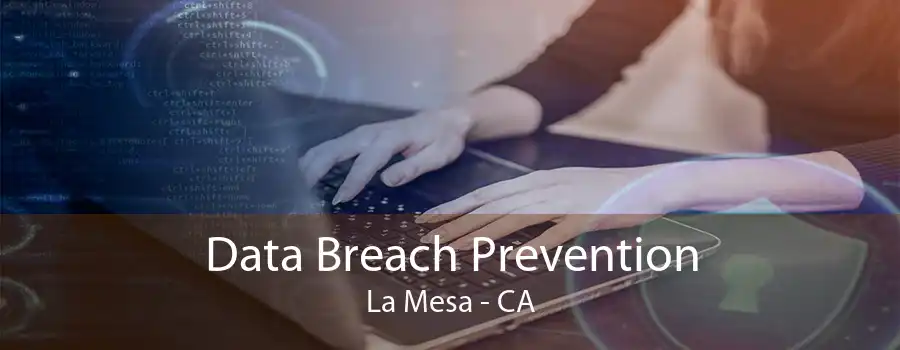 Data Breach Prevention La Mesa - CA