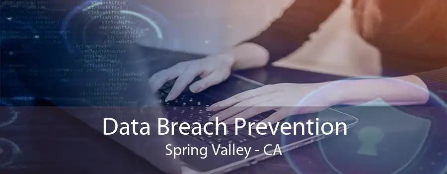 Data Breach Prevention Spring Valley - CA