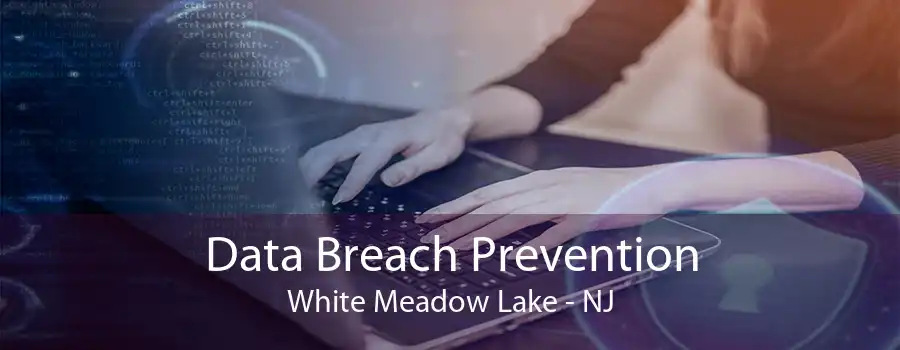 Data Breach Prevention White Meadow Lake - NJ