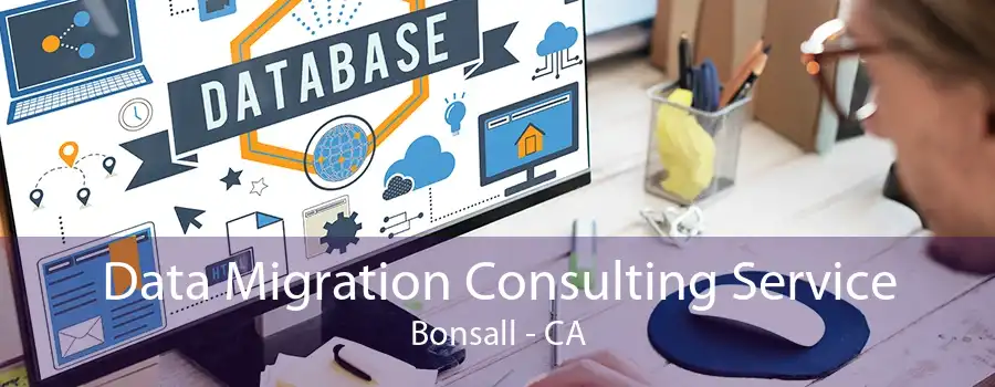 Data Migration Consulting Service Bonsall - CA