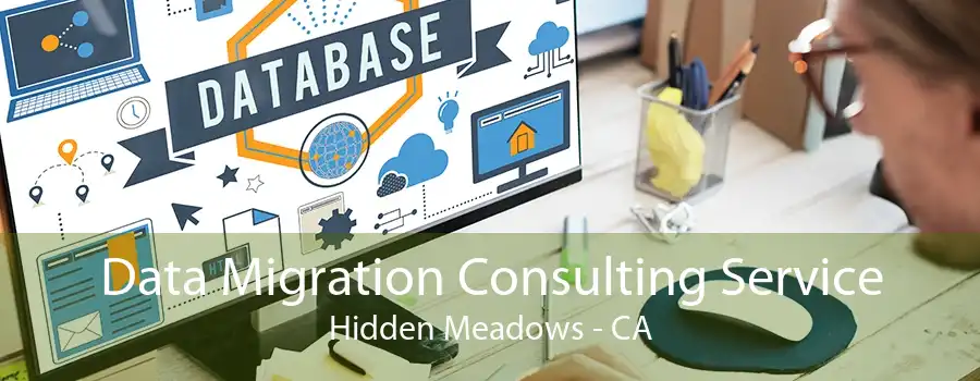 Data Migration Consulting Service Hidden Meadows - CA