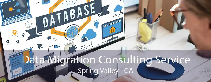 Data Migration Consulting Service Spring Valley - CA