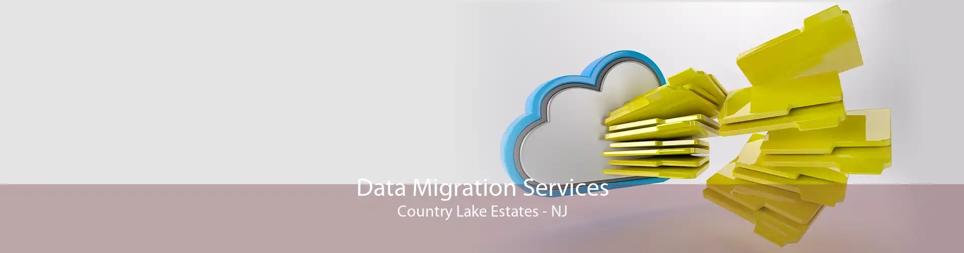 Data Migration Services Country Lake Estates - NJ