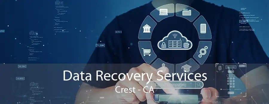 Data Recovery Services Crest - CA