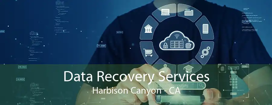 Data Recovery Services Harbison Canyon - CA