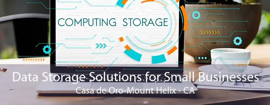 Data Storage Solutions for Small Businesses Casa de Oro-Mount Helix - CA