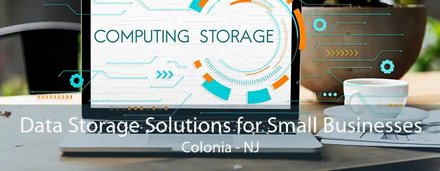 Data Storage Solutions for Small Businesses Colonia - NJ