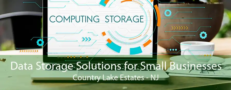 Data Storage Solutions for Small Businesses Country Lake Estates - NJ