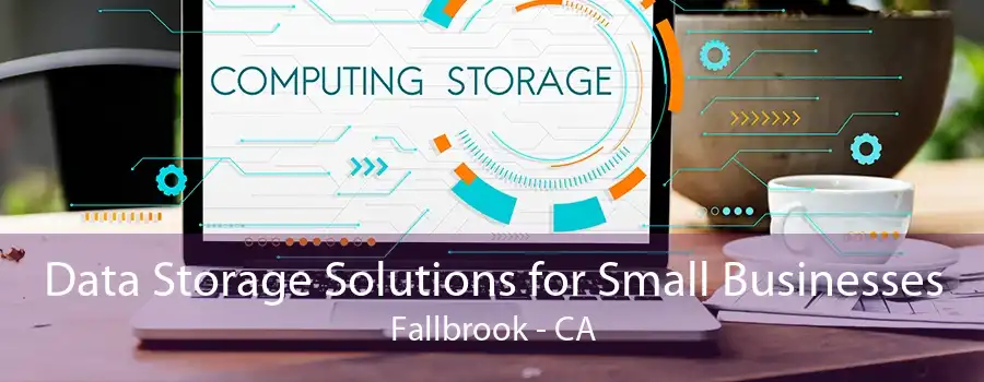 Data Storage Solutions for Small Businesses Fallbrook - CA