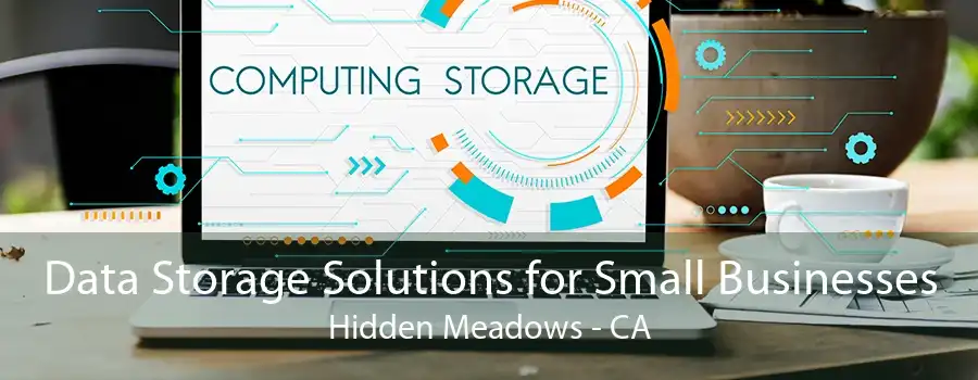 Data Storage Solutions for Small Businesses Hidden Meadows - CA