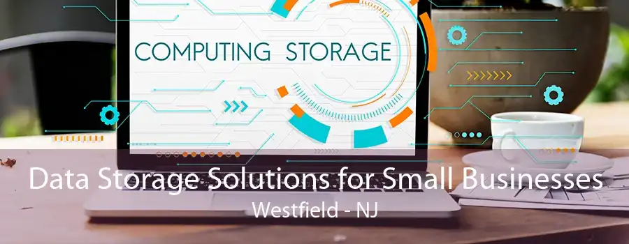 Data Storage Solutions for Small Businesses Westfield - NJ