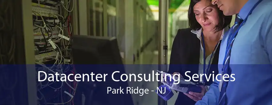 Datacenter Consulting Services Park Ridge - NJ