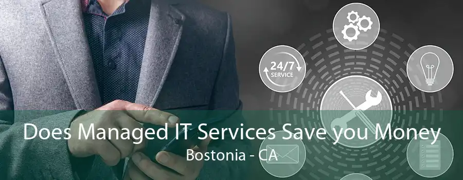 Does Managed IT Services Save you Money Bostonia - CA