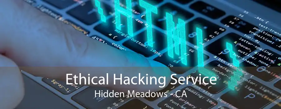 Ethical Hacking Service Hidden Meadows - CA