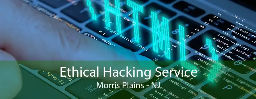 Ethical Hacking Service Morris Plains - NJ