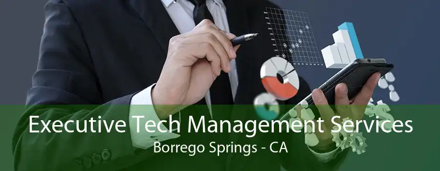 Executive Tech Management Services Borrego Springs - CA