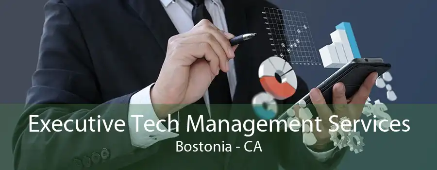 Executive Tech Management Services Bostonia - CA