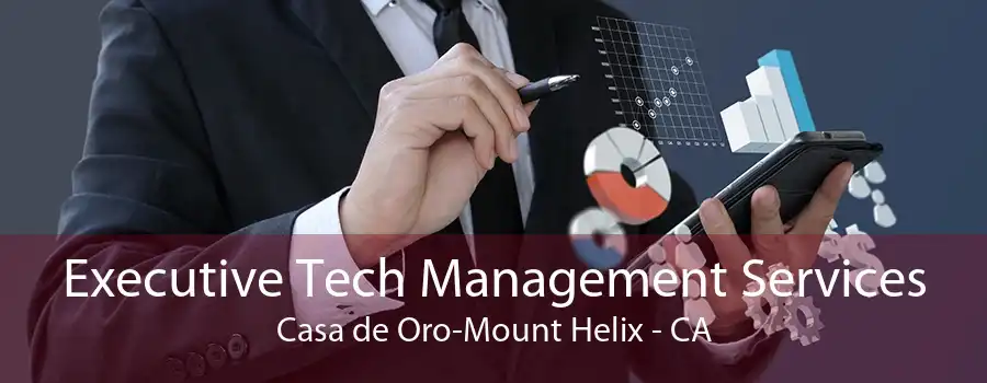 Executive Tech Management Services Casa de Oro-Mount Helix - CA