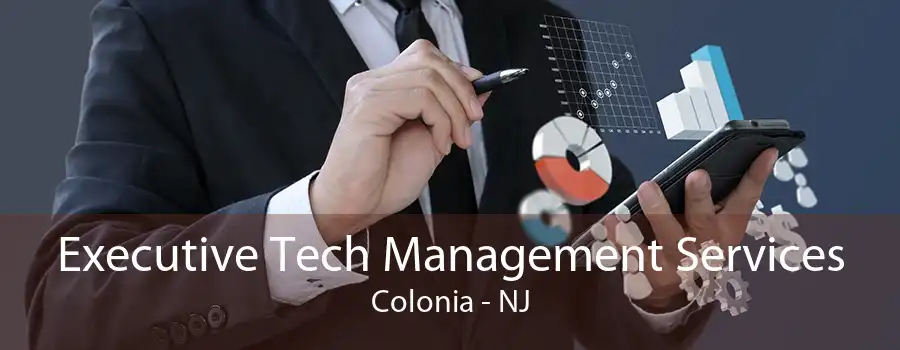 Executive Tech Management Services Colonia - NJ