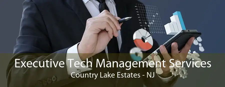 Executive Tech Management Services Country Lake Estates - NJ