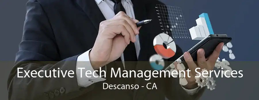 Executive Tech Management Services Descanso - CA