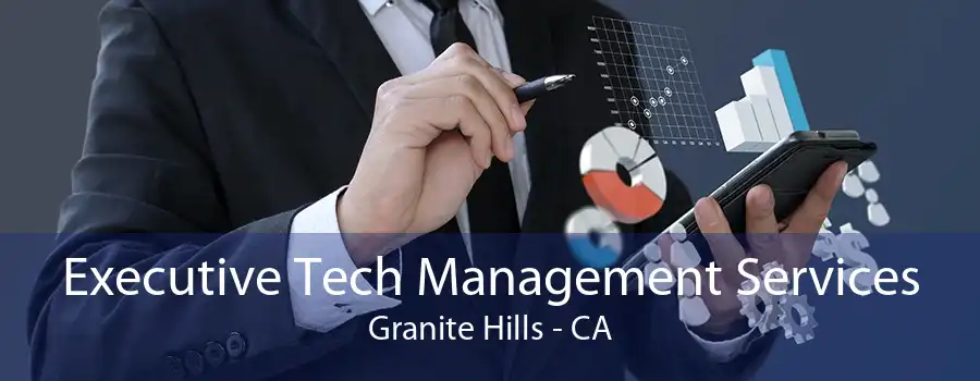 Executive Tech Management Services Granite Hills - CA