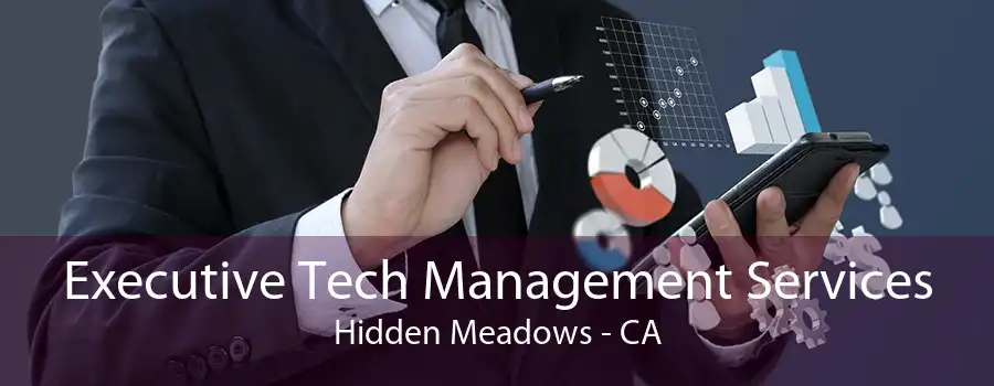 Executive Tech Management Services Hidden Meadows - CA