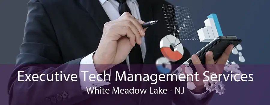 Executive Tech Management Services White Meadow Lake - NJ