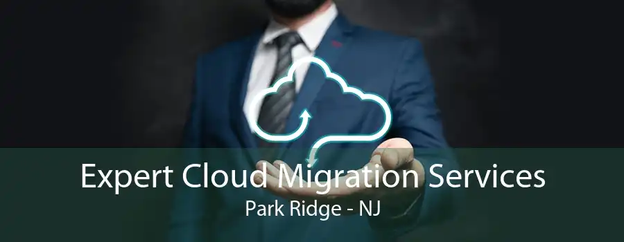 Expert Cloud Migration Services Park Ridge - NJ