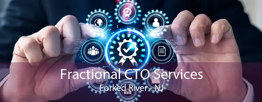 Fractional CTO Services Forked River - NJ