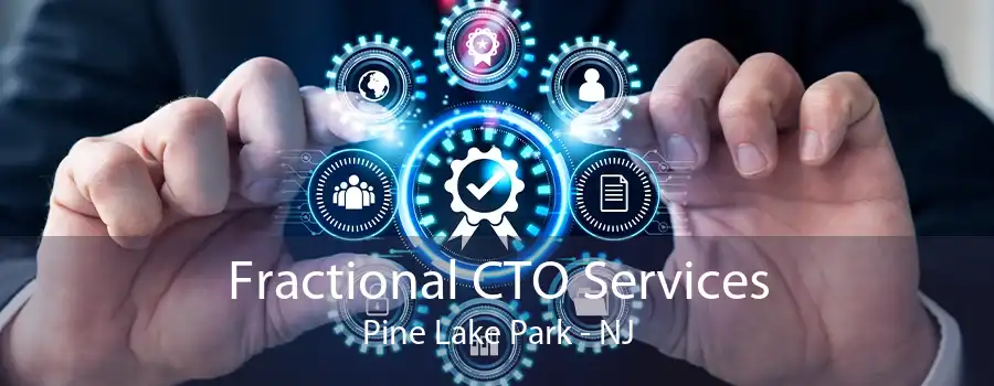 Fractional CTO Services Pine Lake Park - NJ