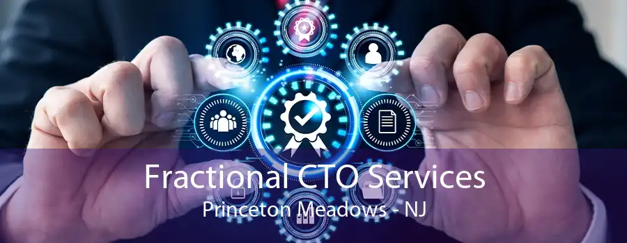 Fractional CTO Services Princeton Meadows - NJ