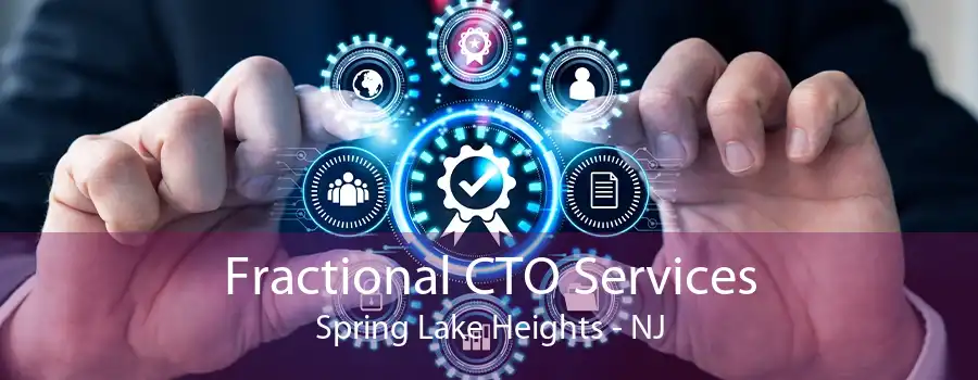 Fractional CTO Services Spring Lake Heights - NJ