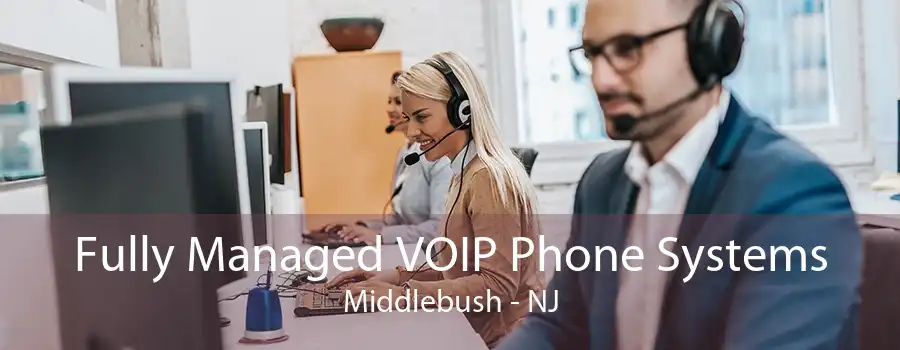 Fully Managed VOIP Phone Systems Middlebush - NJ